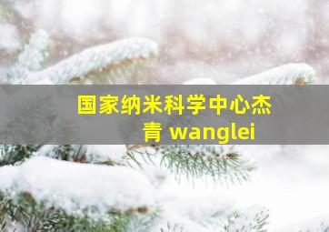 国家纳米科学中心杰青 wanglei